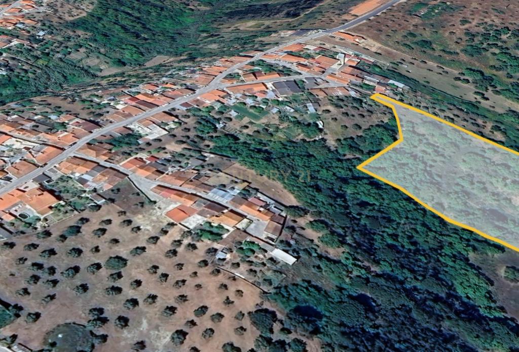 Terreno de 8280m² com cultura Arvense variada em Abrantes - Image 1