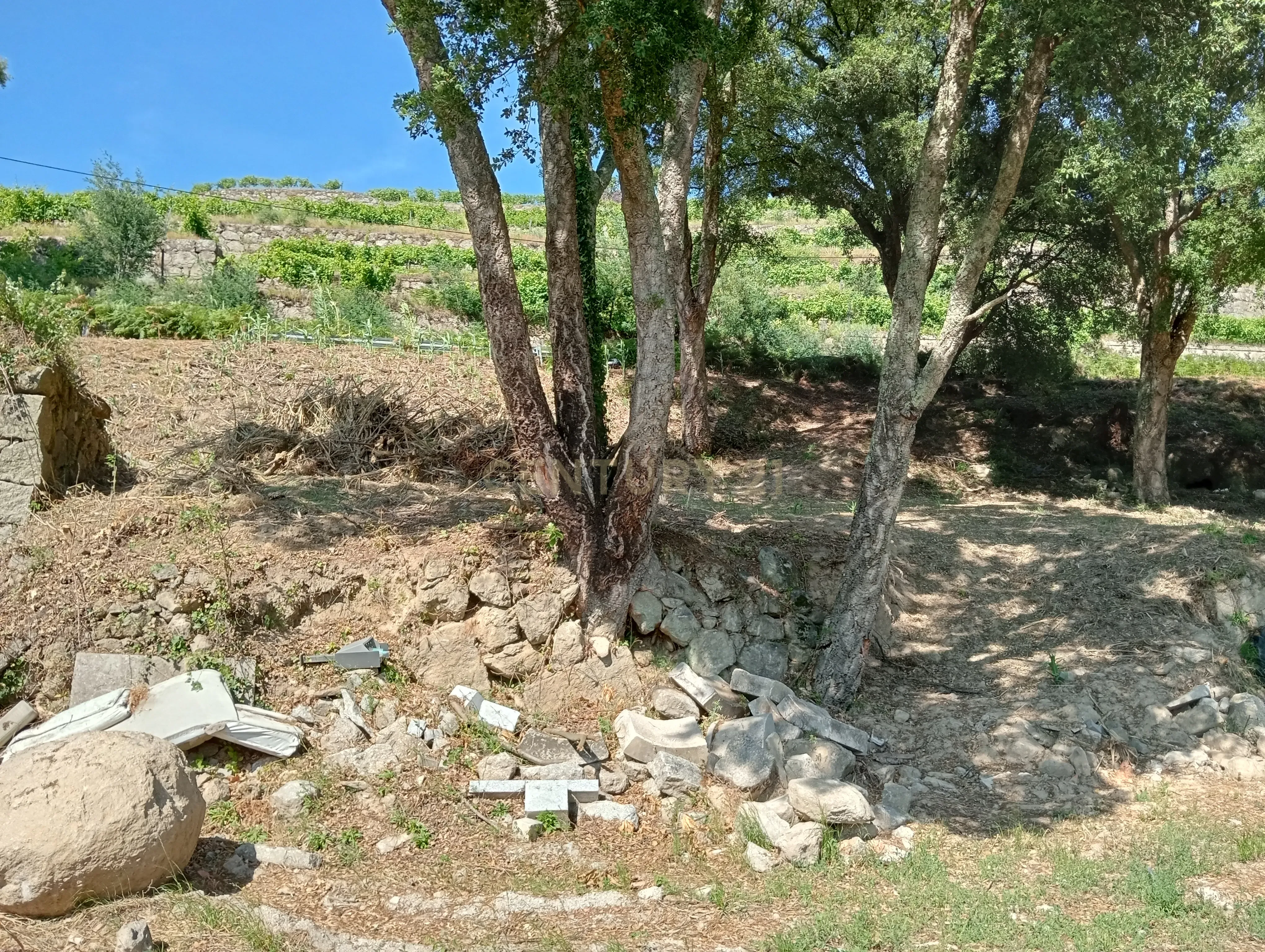 Moradia T2 à venda em Frende, Baião — foto 34