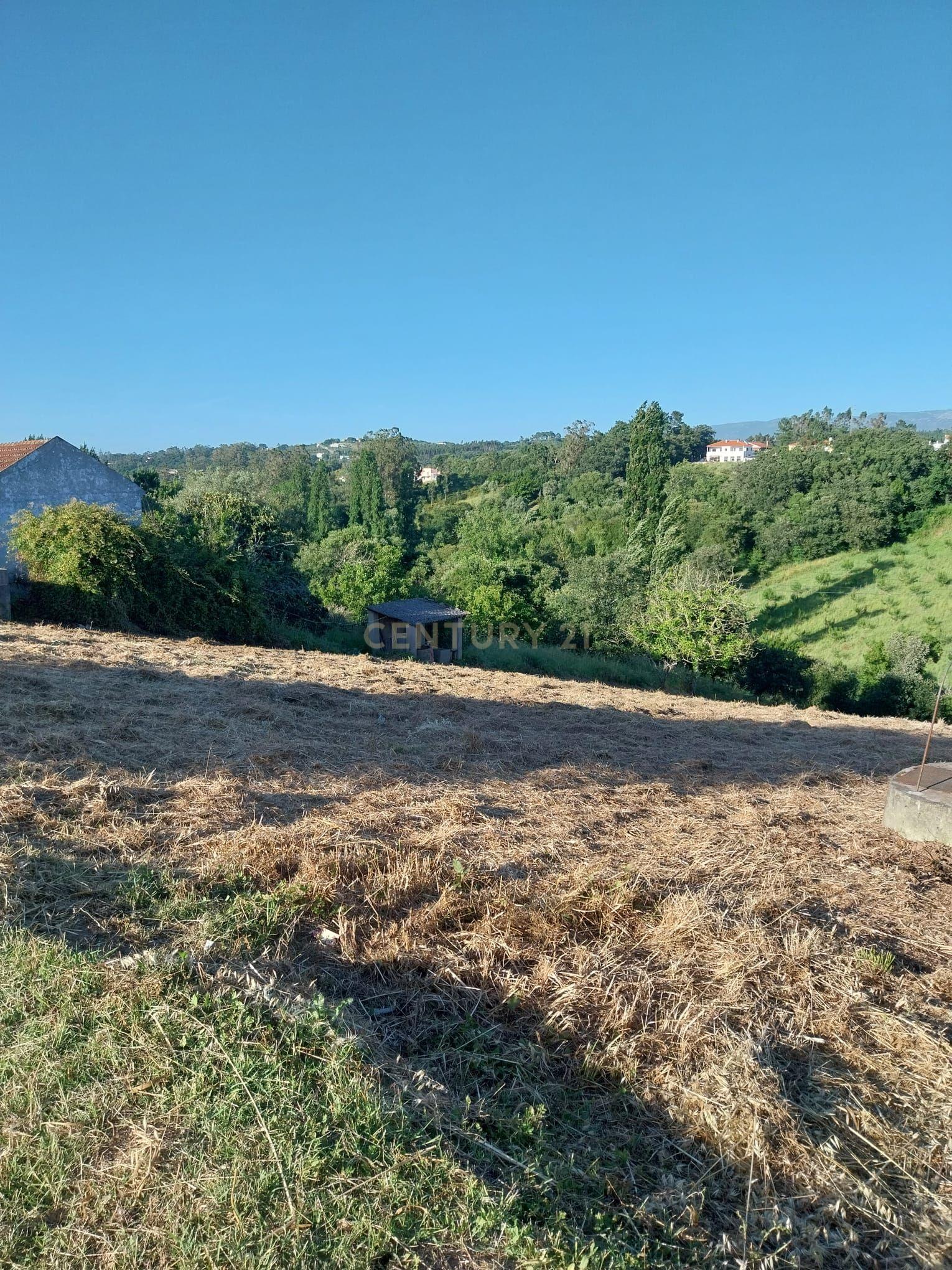 Fotografia 7 de Terreno com Viabilidade de Construção nas Fragosas