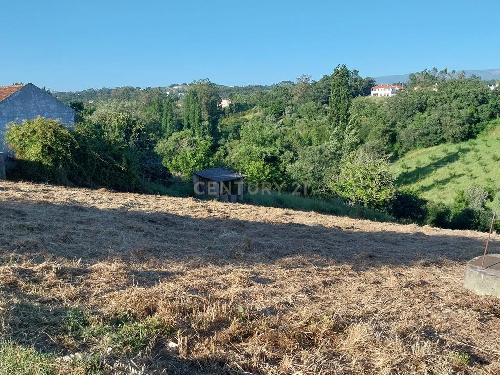 Terreno com Viabilidade de Construção nas Fragosas - Image 7