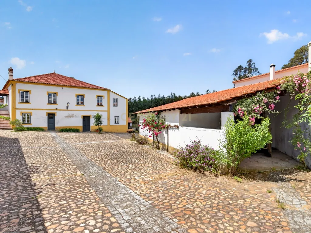 Encantadora Moradia em Tramagal, Abrantes - 5 Quartos - Image 26