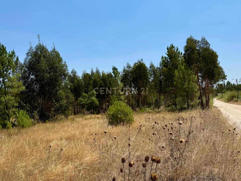 Terreno com 94.000 m2 na zona do Novo Aeroporto de Lisboa, Santo Estêvão, Benavente. Em venda! - Image 17