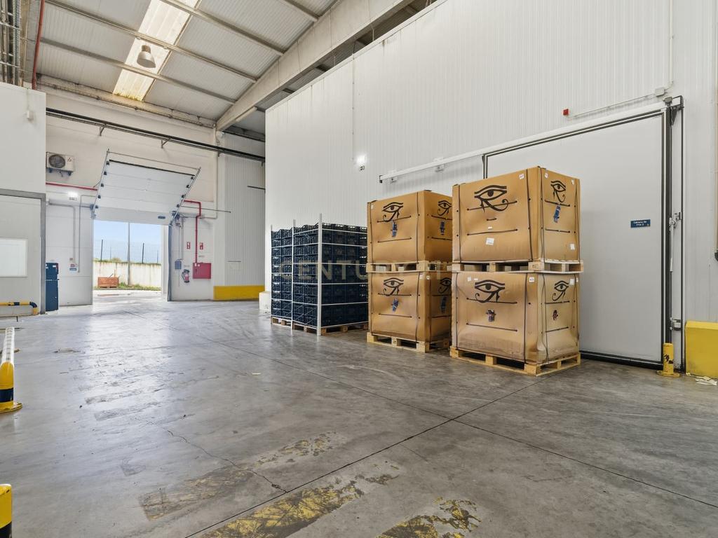 Armazém Industrial junto à Campo Oeste em A-dos-Cunhados - Image 32