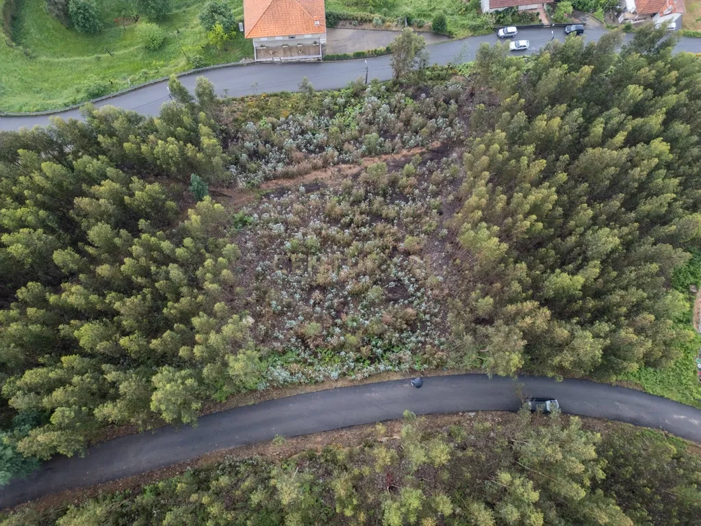 Terreno para Construção com Projeto Turístico e Vista Rio Douro – Castelo de Paiva - Image 8