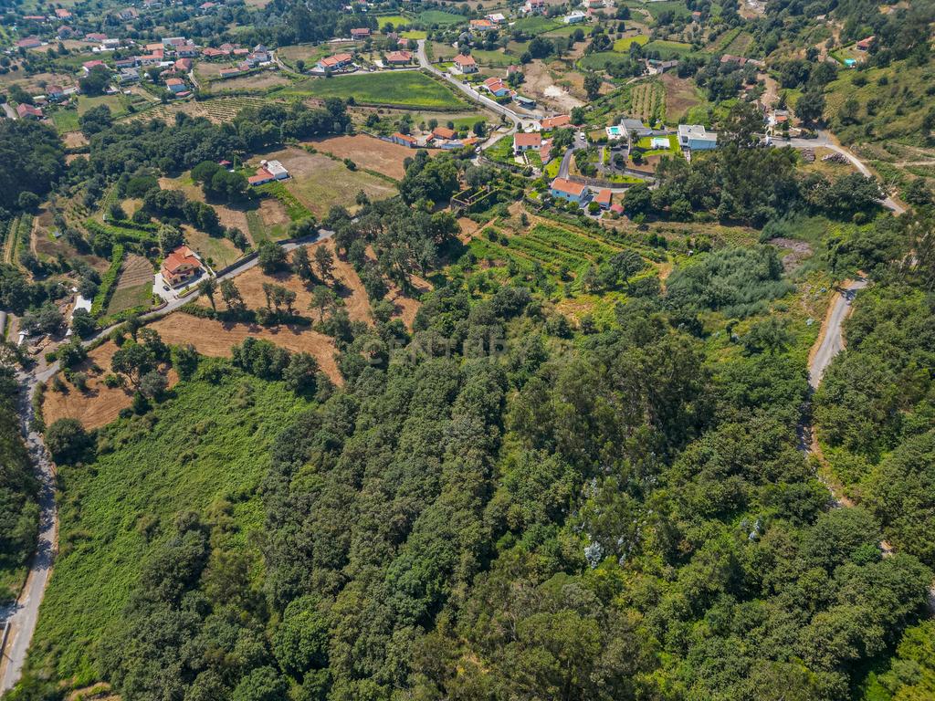  Quinta  para reconstrução , em  Anais, em Ponte de Lima – a vila mais antiga de Portugal. - Image 21