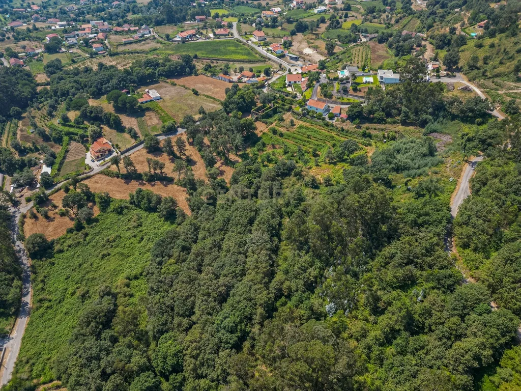Quinta para reconstrução , em Anais, em Ponte de Lima – a vila mais antiga de Portugal. - Image 21