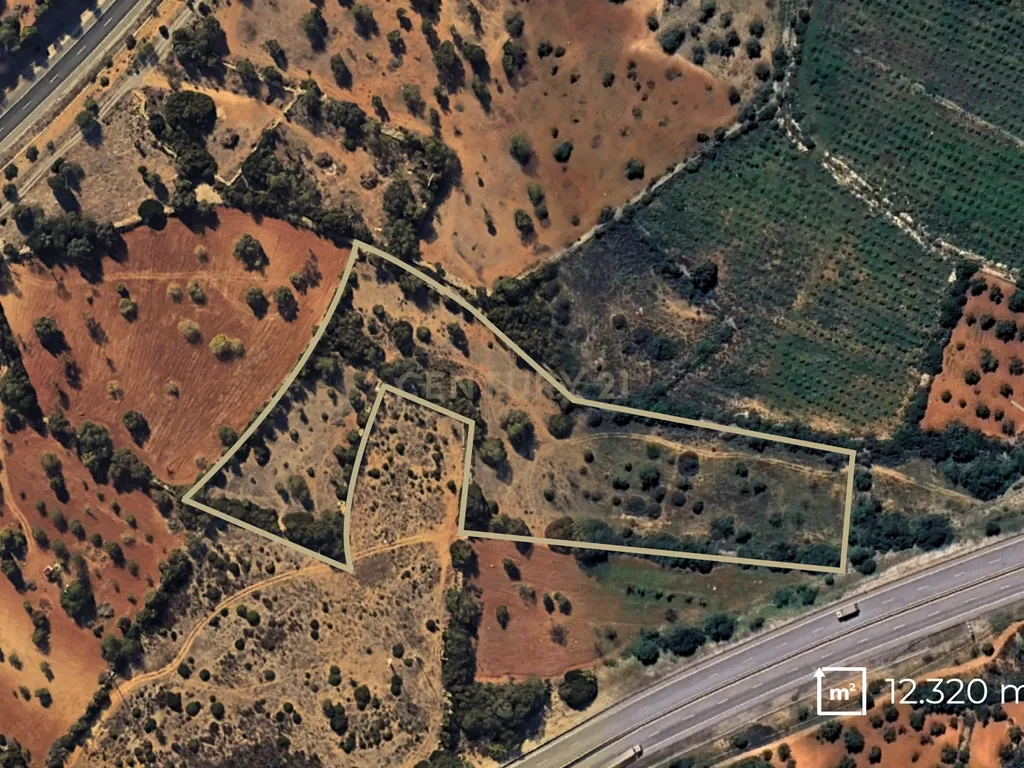 Terreno Rústico com 12.300 m² em Moncarapacho - Olhão - Algarve - Image 6