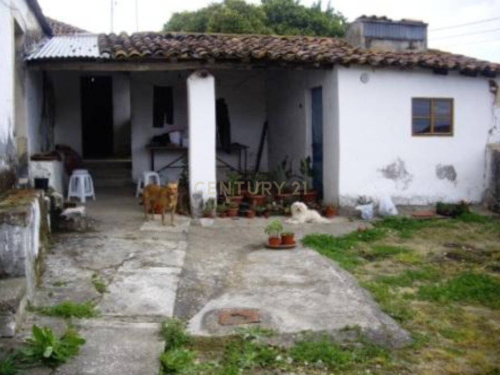 Ruína com Potencial em Moçarria, Santarém - Image 11