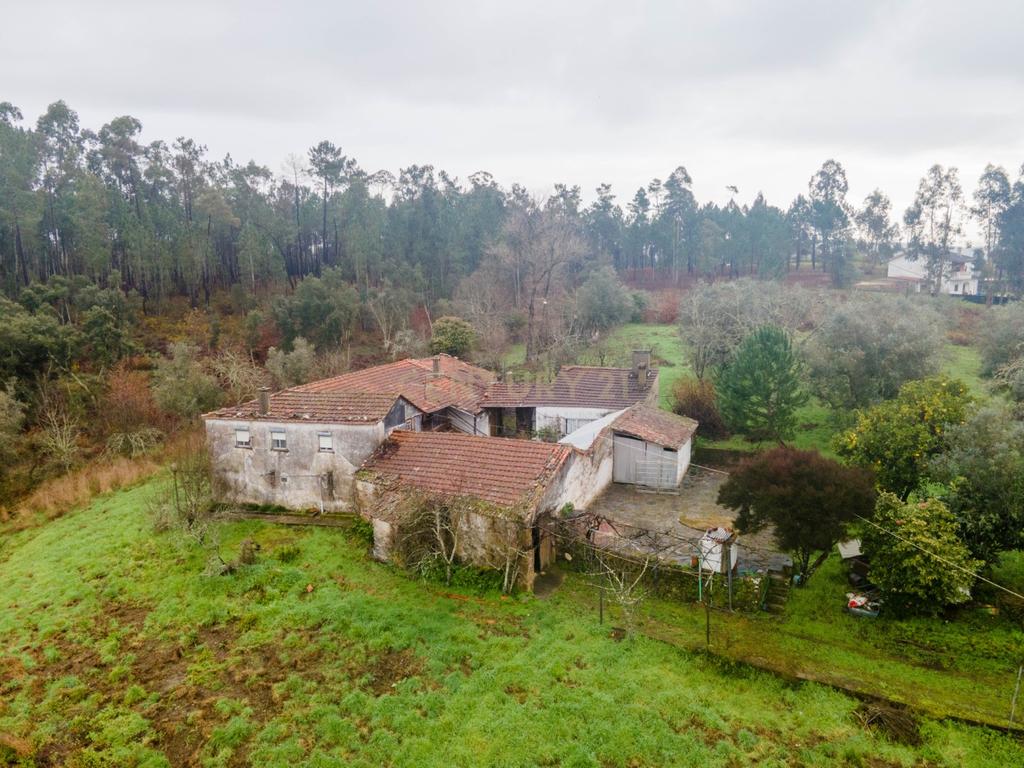 Quinta T5 em Poiares, Vila Nova de Poiares - Oportunidade Única - Image 56