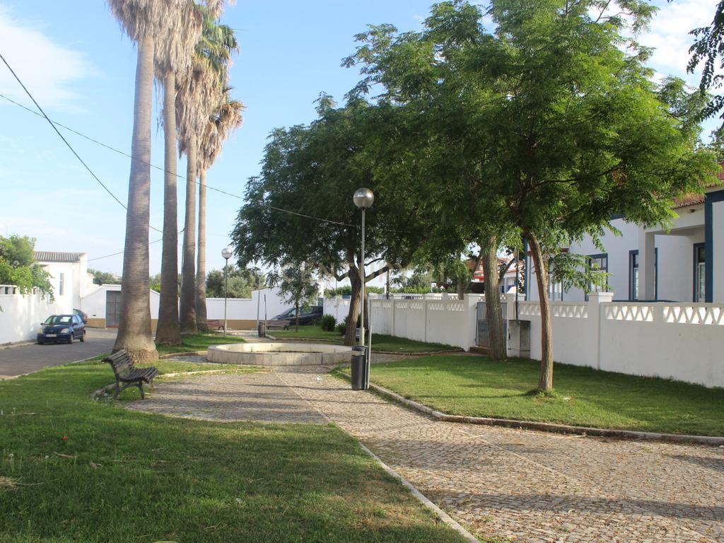 Moradia T1 com 76m2 + 165m2 de quintal com pequenas reabilitações em Salvada(Beja) - Image 8