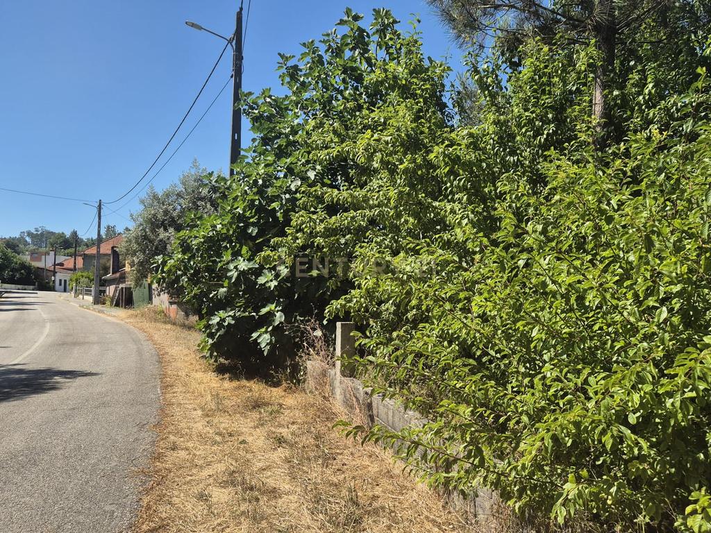 Terreno para Construção em Pombal, Leiria - Oportunidade Única! - Image 28