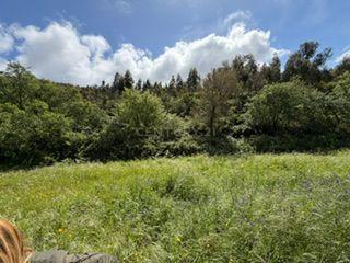 Fotografia 8 de Terreno rústico para venda em Mafra