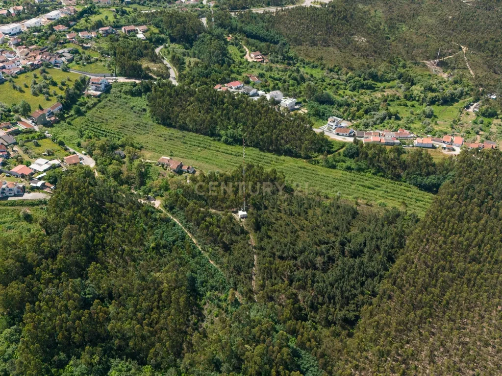 Quinta com 8 hectares com potencial para construção – Antanhol - Coimbra - Image 15