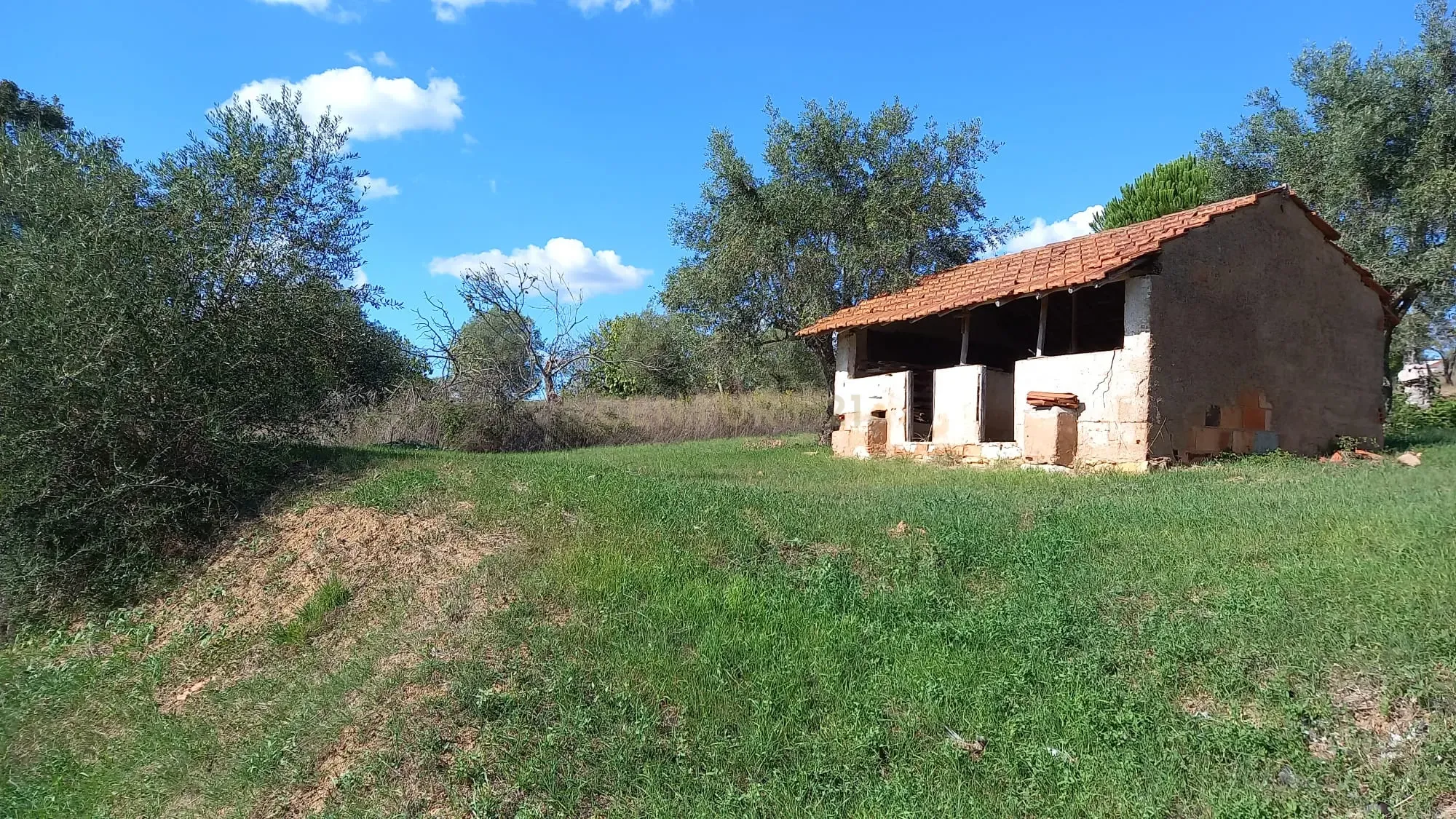 Fotografia 5 de Terreno em Madalena e Beselga | Tomar - Local Calmo e Iluminação Natural