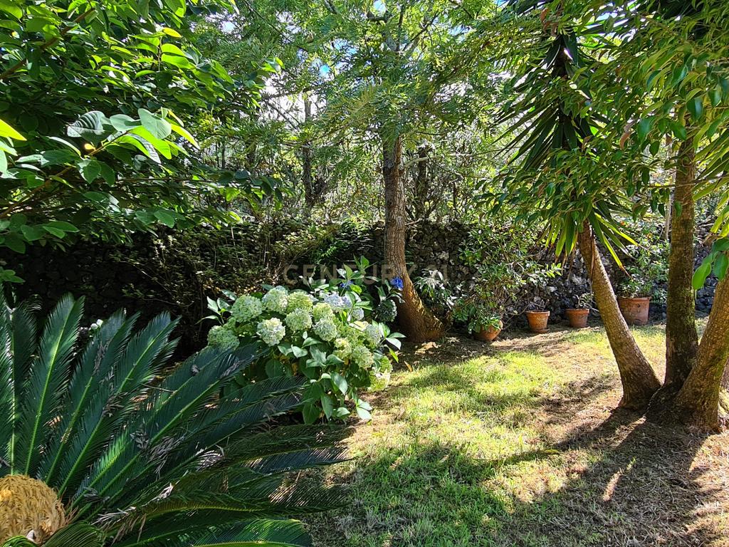 Country House em São Miguel, Açores: Refúgio Privado de Charme com piscina e quinta - Image 87