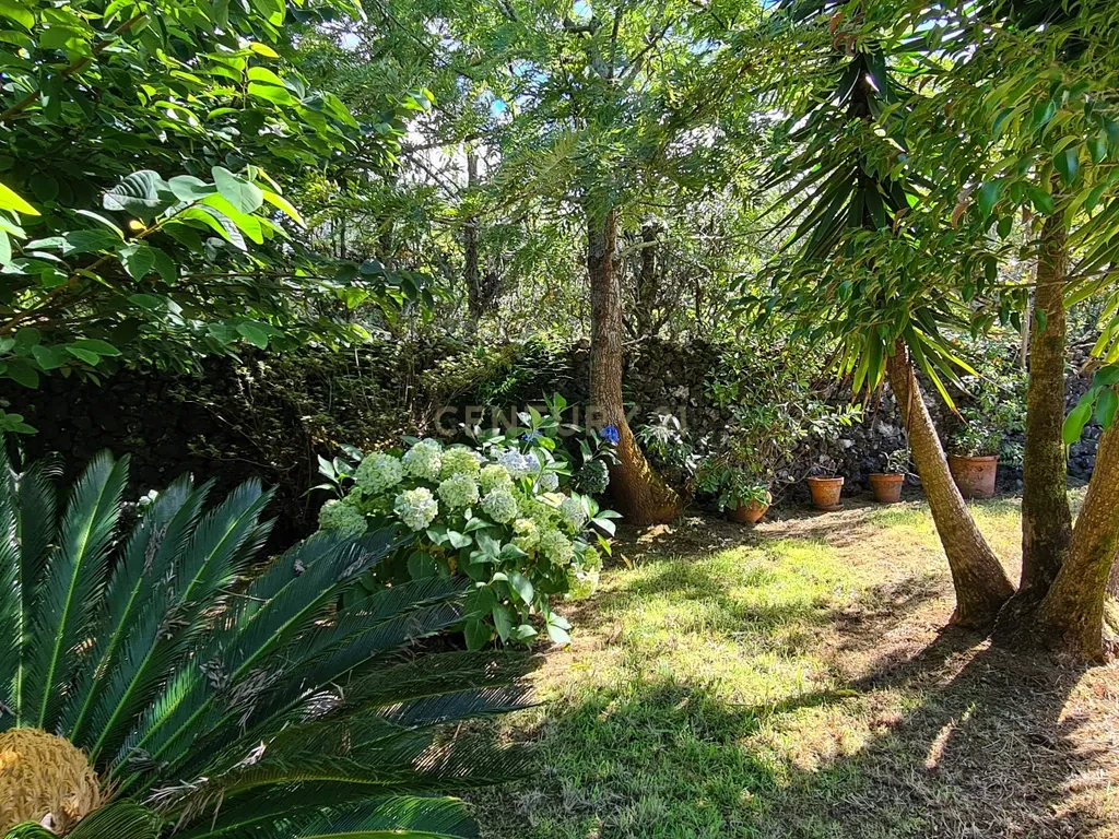 Country House em São Miguel, Açores: Refúgio Privado de Charme com piscina e quinta - Image 87