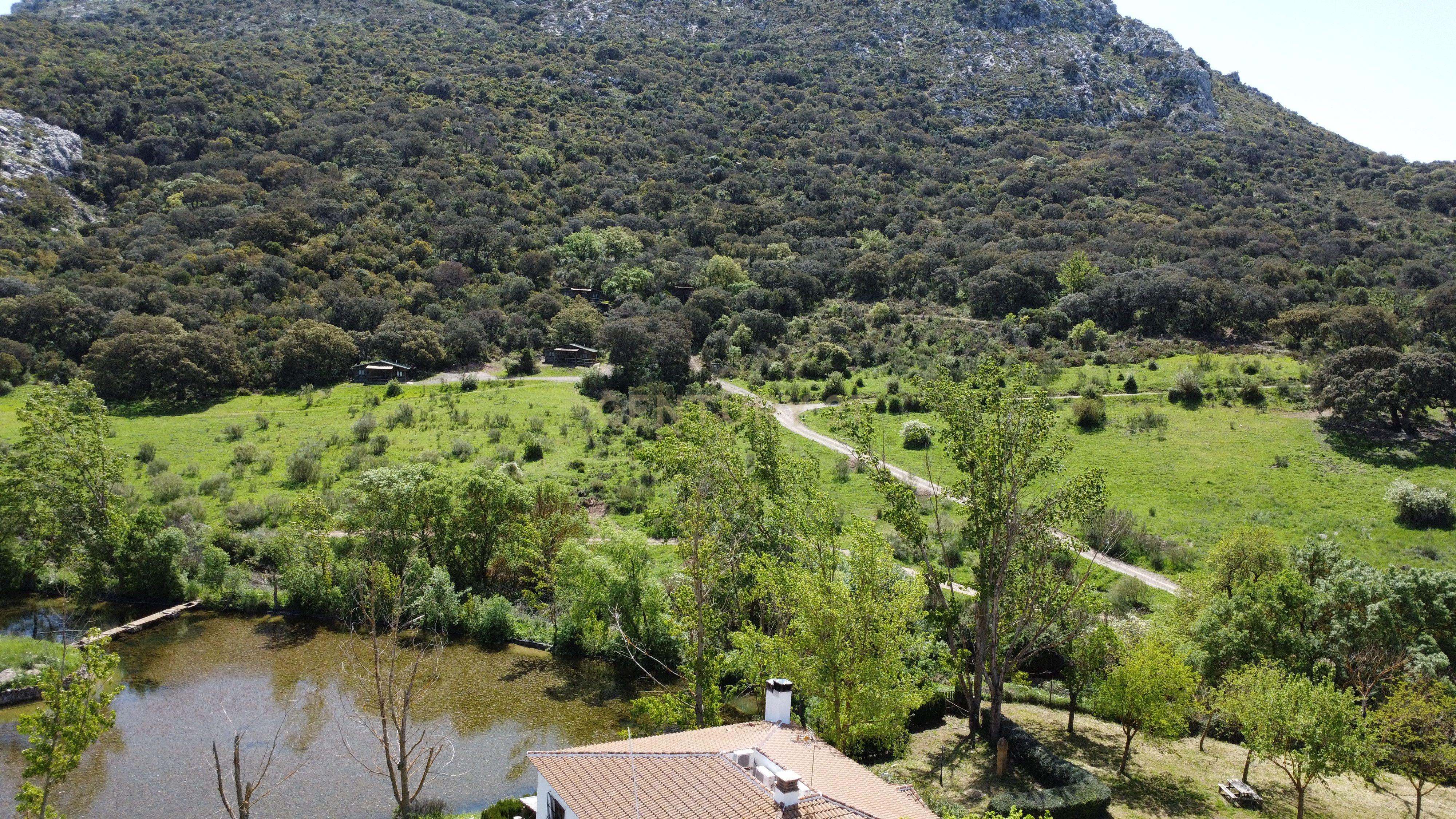 VENDA DE PROPRIEDADE RÚSTICA EM ANTEQUERA COM EXPLORAÇÃO DE AGROTURISMO - Image 22