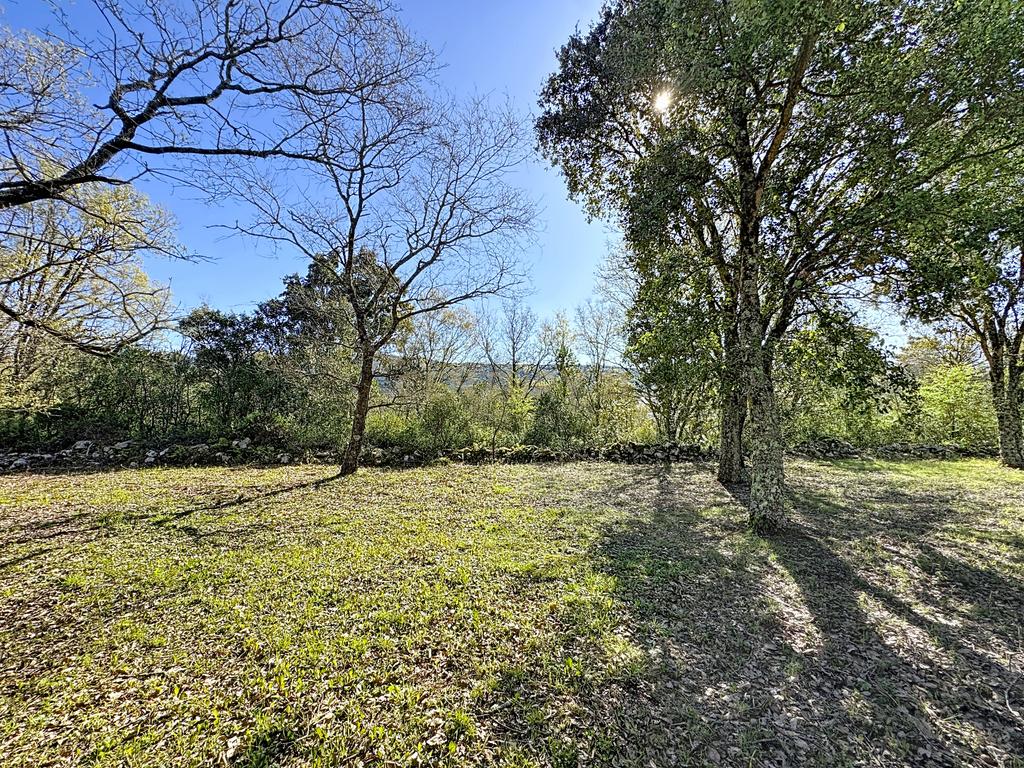O lugar ideal para construir em plena natureza – Alcobaça - Image 10