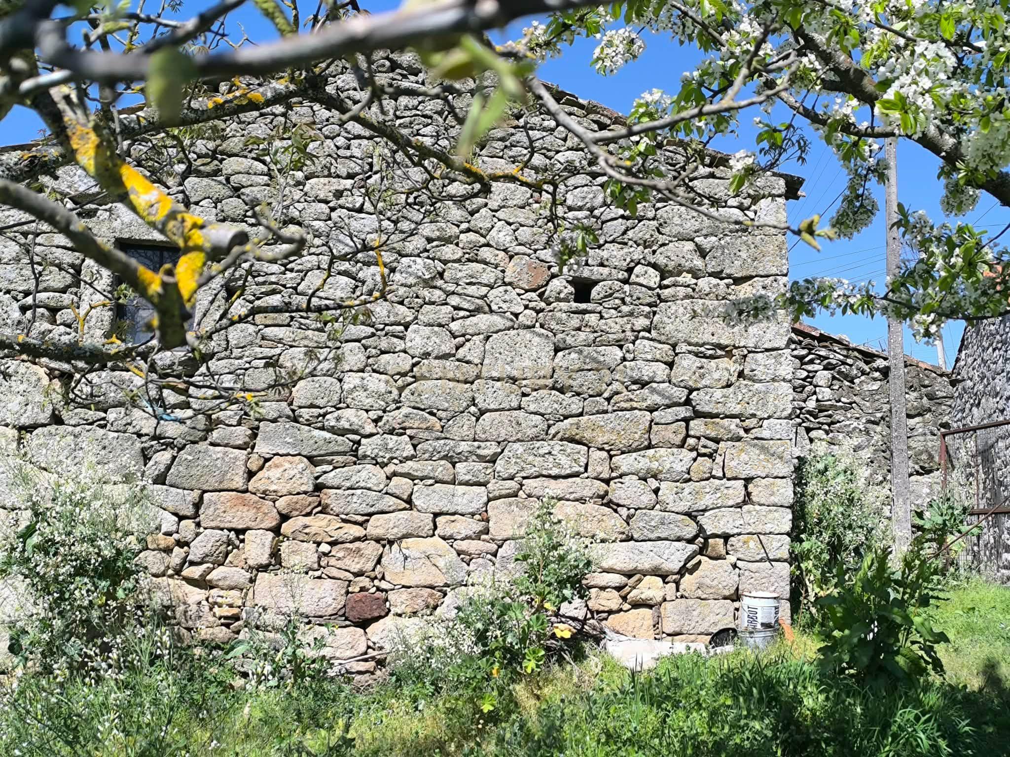Fotografia 8 de Casa antiga, em pedra de granito, com terreno, poço e árvores de fruto.