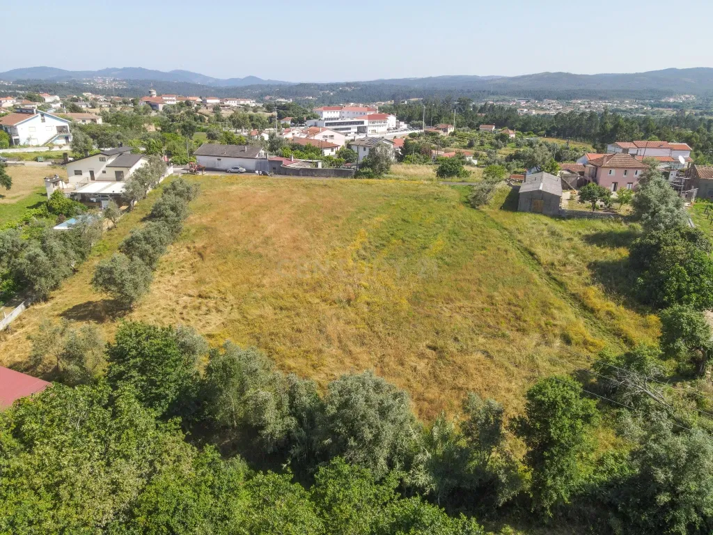 Terreno - Vila Nova de Poiares - Image 6