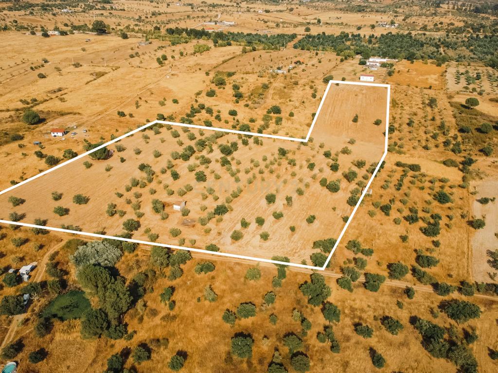 Propriedade rústica com potencial agrícola, habitacional e turístico – 3,12 hectares – Nisa - Image 4