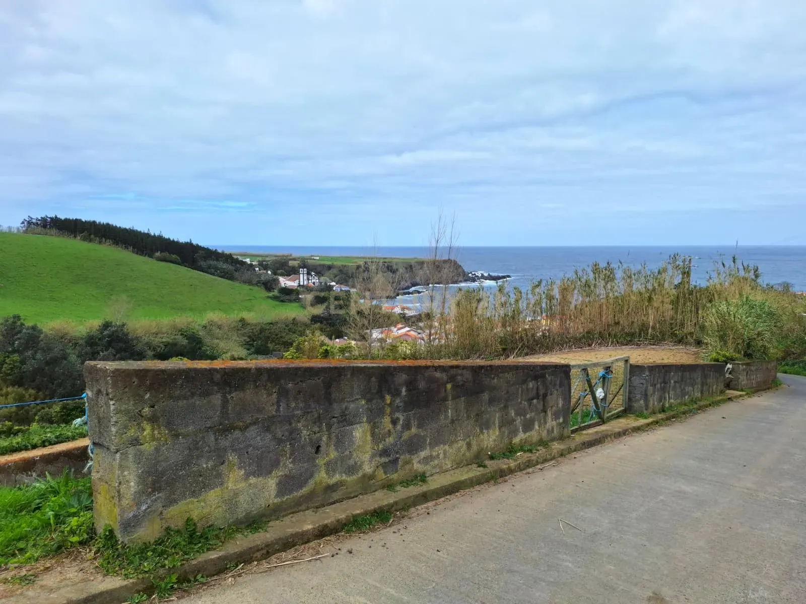 Fotografia 7 de 🌿 Terreno Rústico com Vista Mar – Porto Formoso