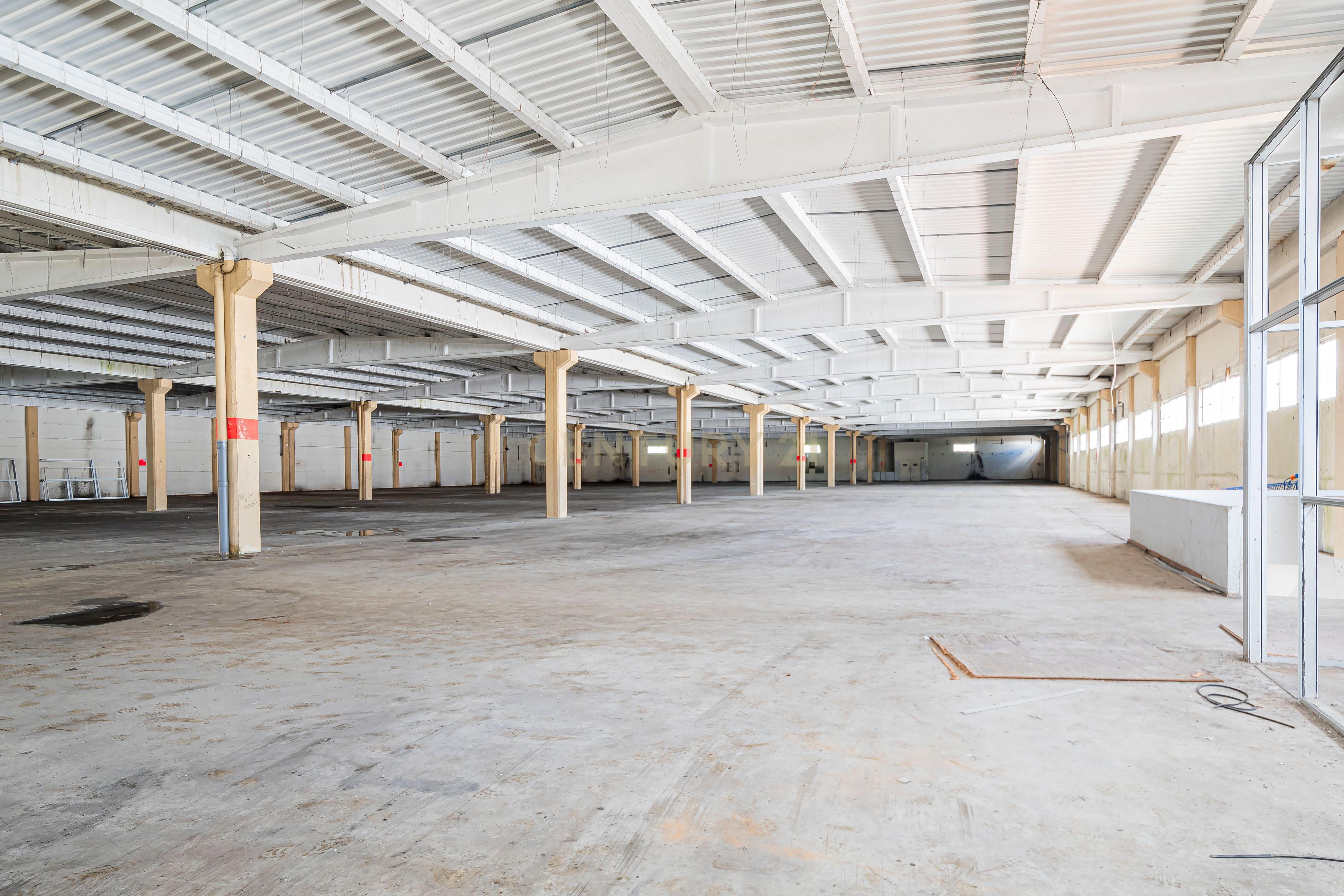 Armazém 500m2 - Image 7