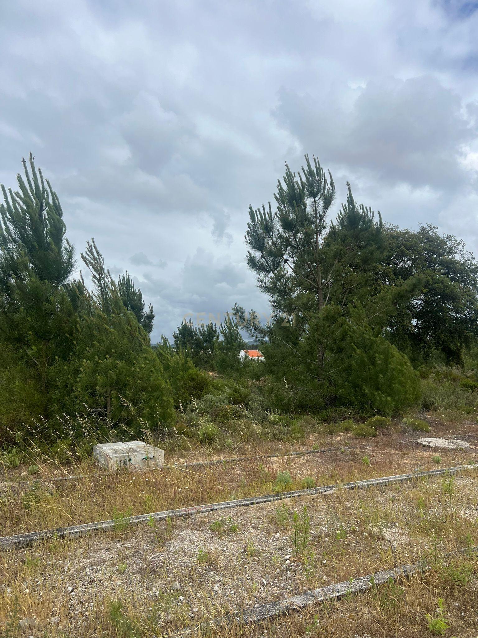 Fotografia 3 de Terreno Urbano | Quinta do Conde – Ribeira do Marchante