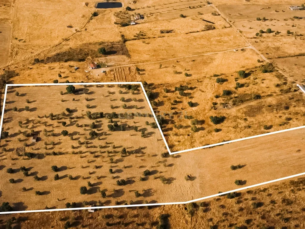 Propriedade rústica com potencial agrícola, habitacional e turístico – 3,12 hectares – Nisa - Image 19