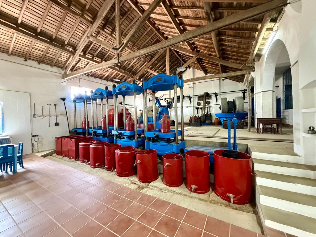 Herdade da Pandeira (93 Hectares) Vinha e Olival em Produção em Reguengos de Monsaraz. - Image 15