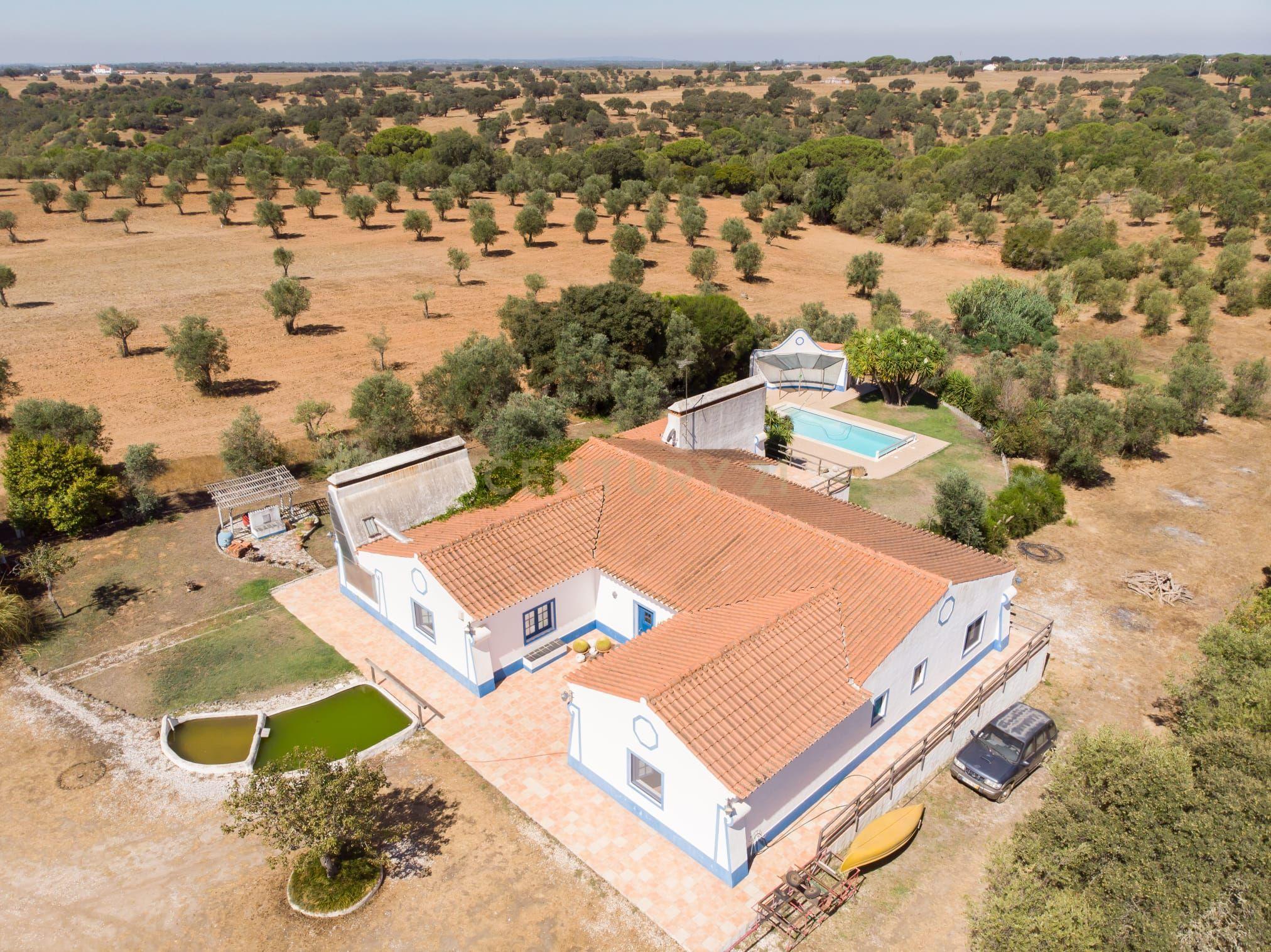 Quinta em São Cristóvão (a 15 min de Alcácer do Sal), com duas moradias inseridas num lote de 8.000 m² - Image 12