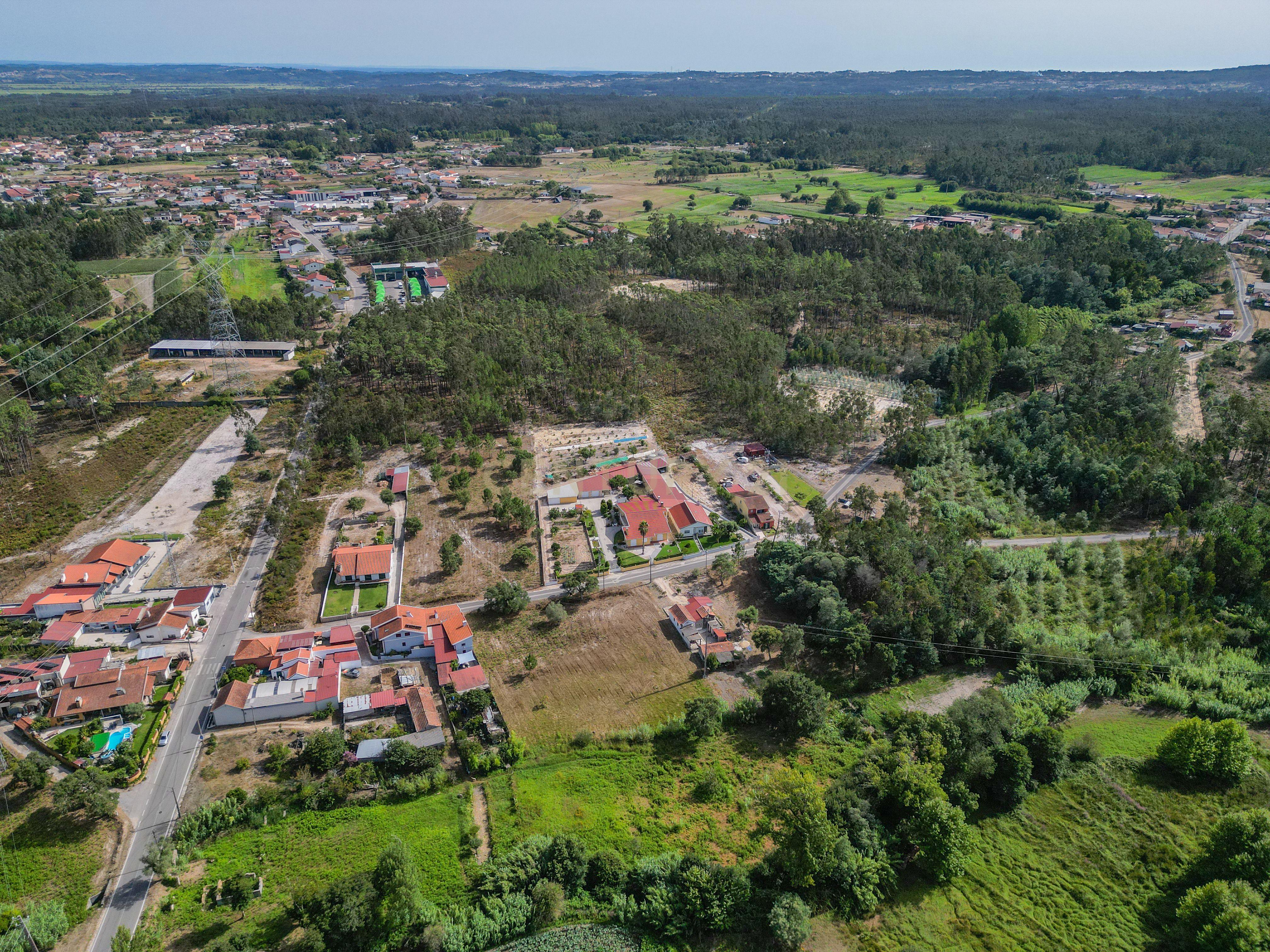Fotografia 6 de Terreno com cerca de 2.700 m² em Casal dos Chouriços, Moinhos da Gândara, Figueira da Foz.