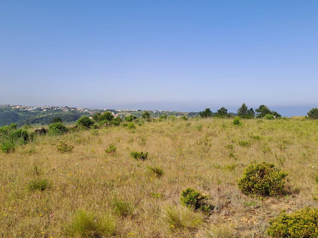 Terreno Rústico com Vista Panorâmica – Forte do Zambujal, Mafra - Image 7