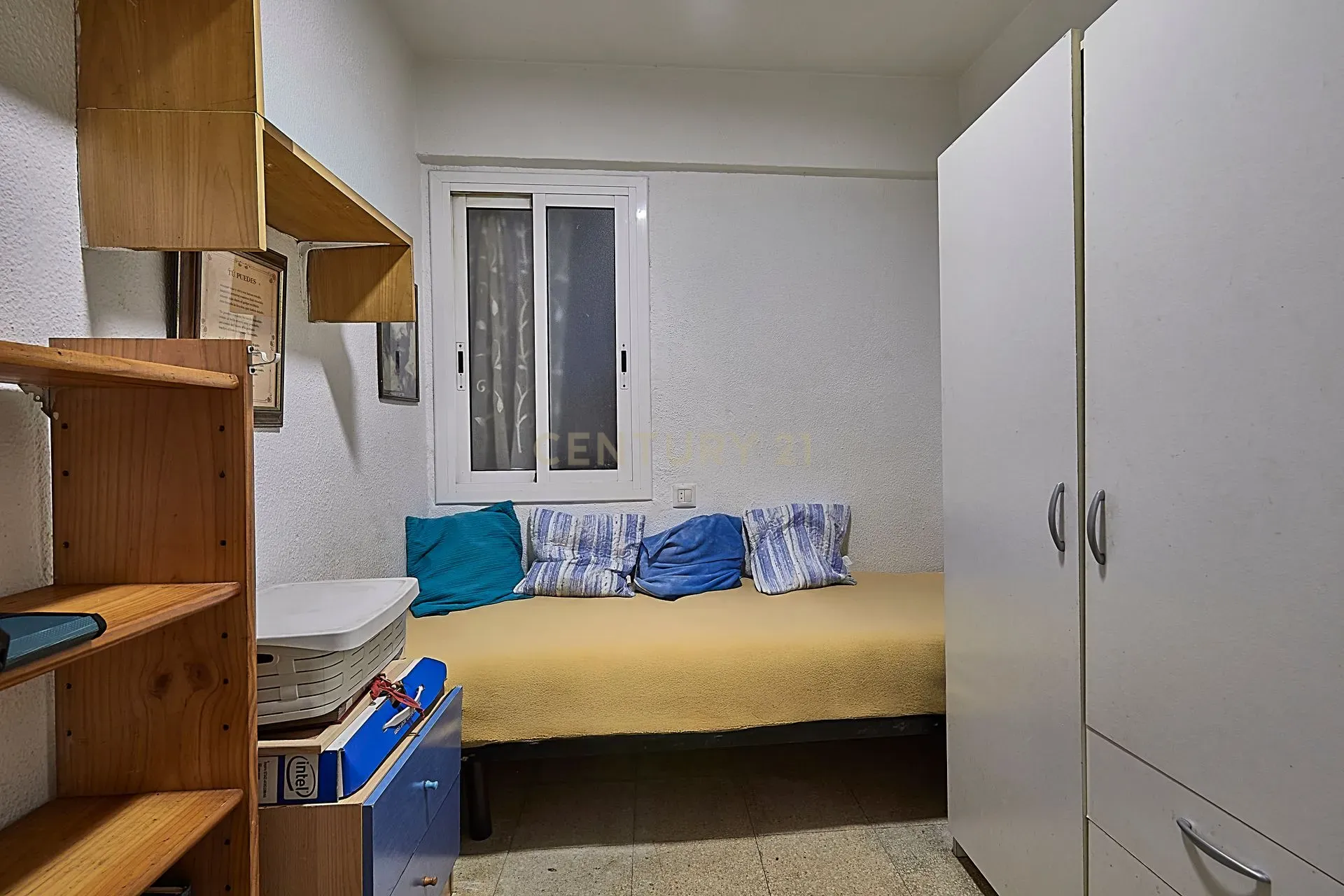 - Image 11