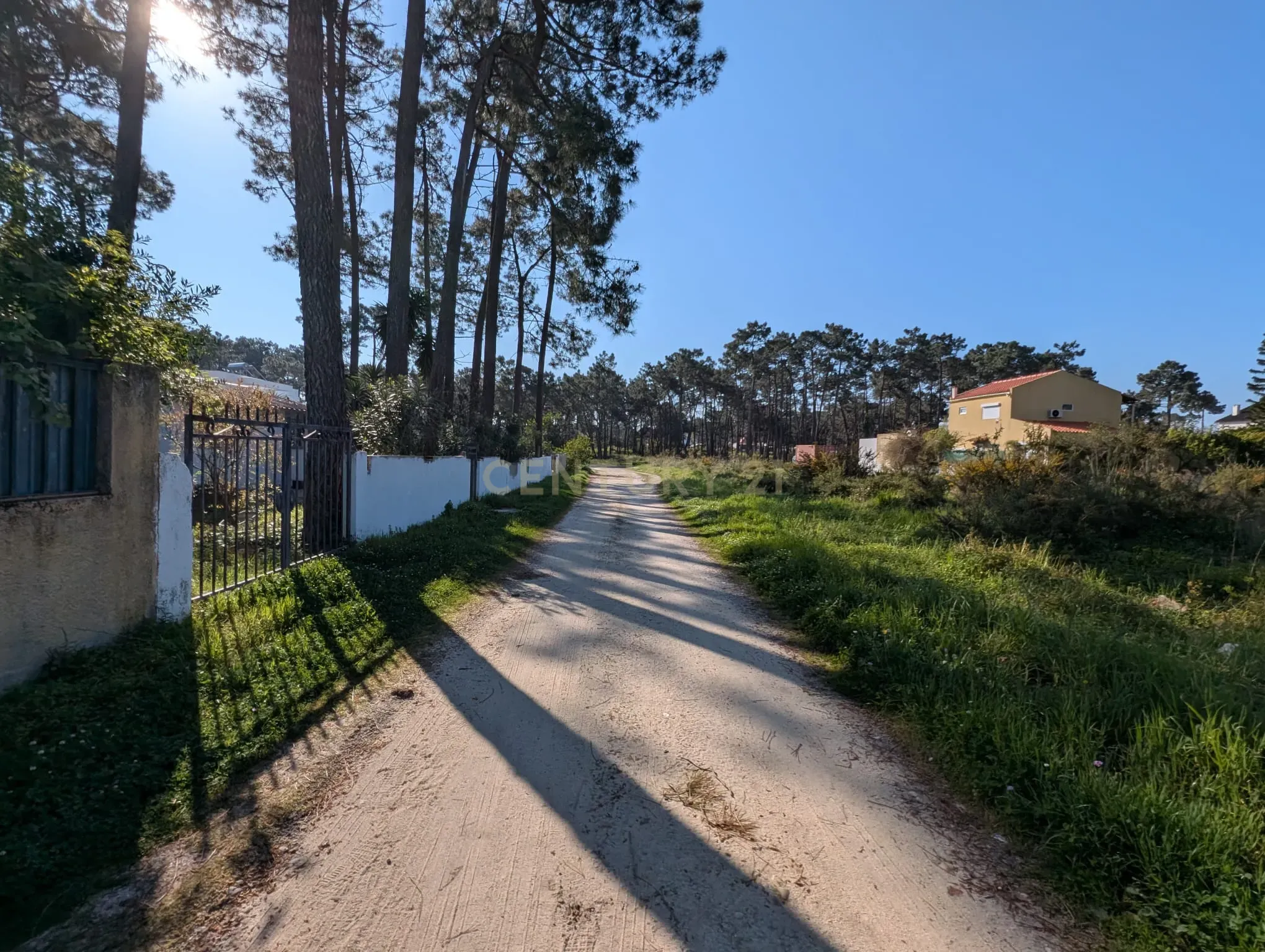 Fotografia 8 de Terreno rústico com 985m2 Aroeira, para lotear