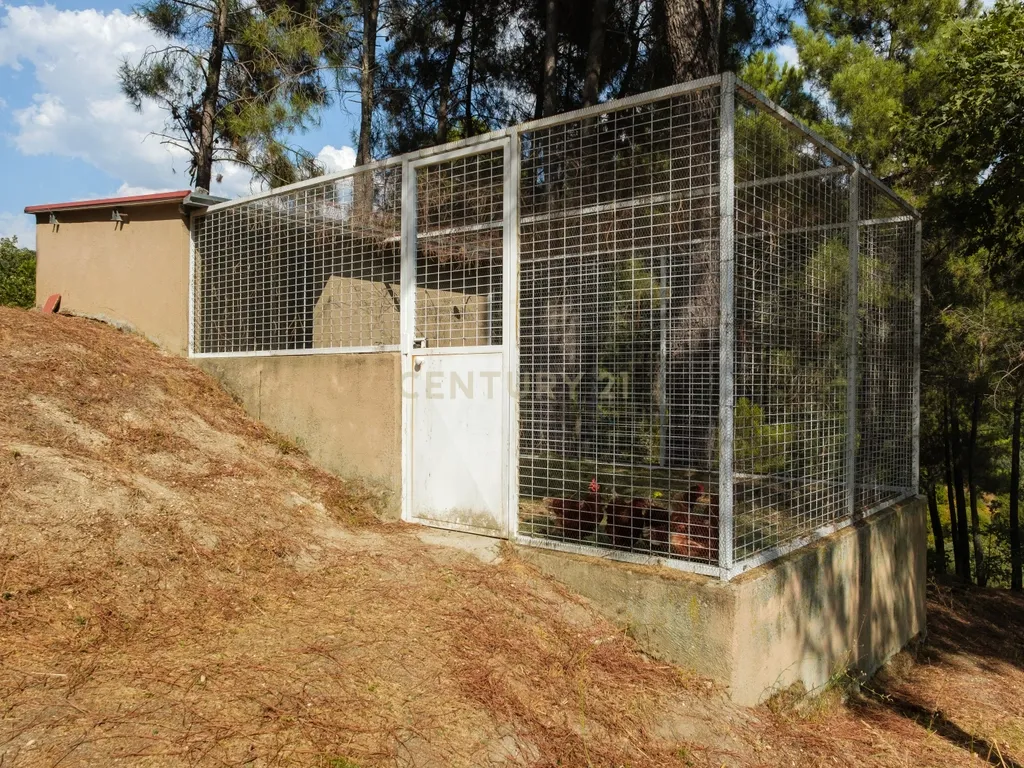 QUINTA PARADISÍACA, COM PISCINA, ÀS PORTAS DA CIDADE DA GUARDA - Image 40