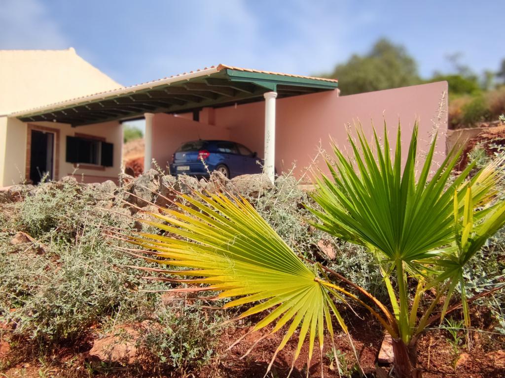 Quinta encantadora com potencial de expansão perto de Albufeira - Image 33