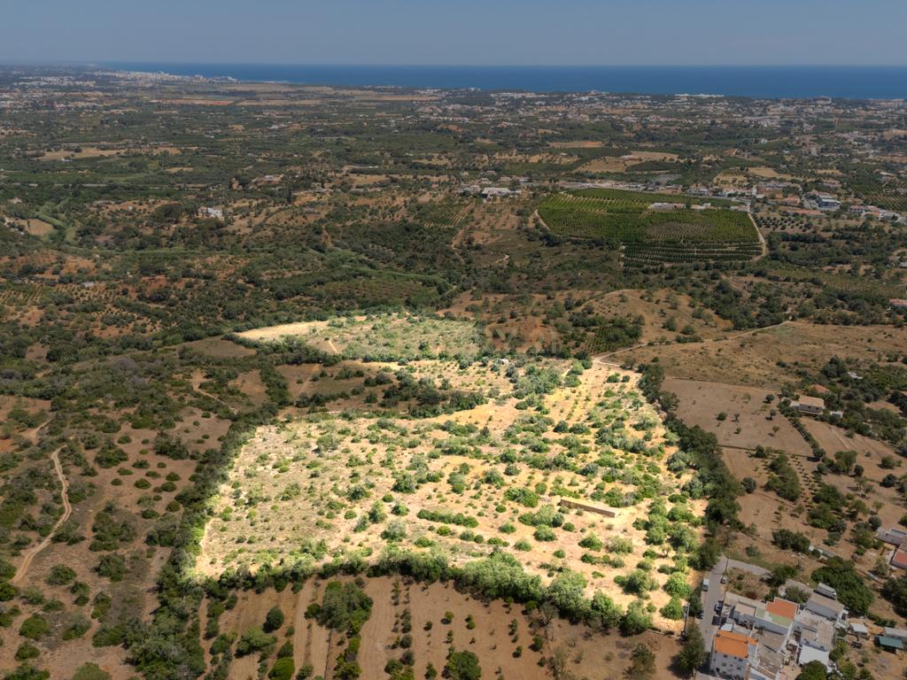 Construir uma Casa de Sonho ou ter um Turismo Rural - Image 8
