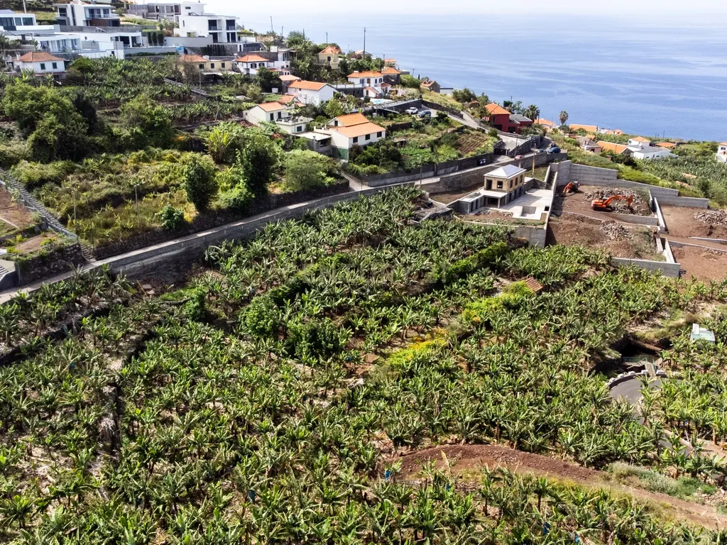 Terreno para construção 1946m2 - Arco da Calheta - Image 30