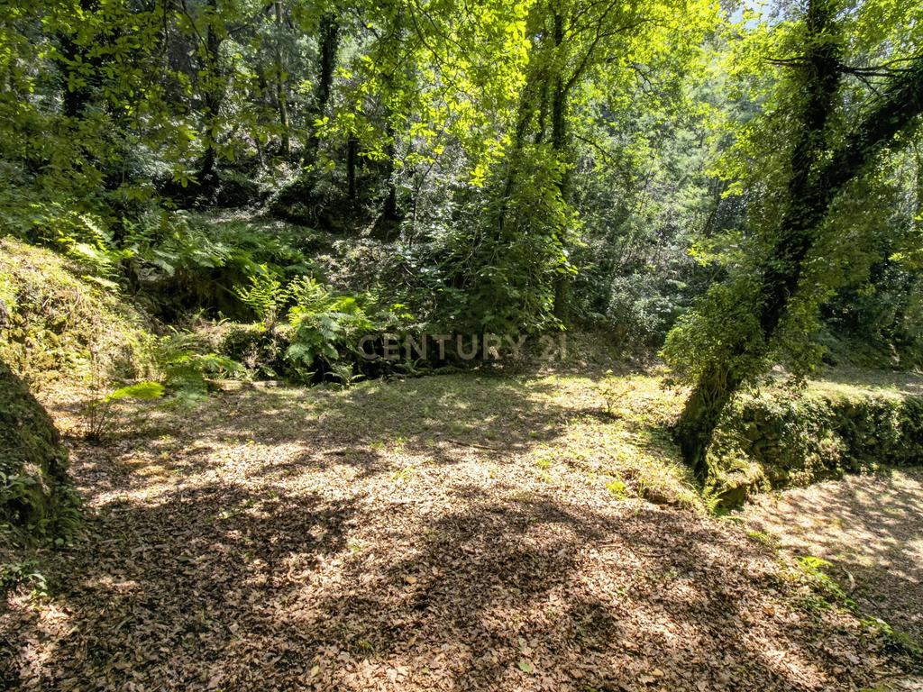 Duas Propriedades Únicas no Gerês com Acesso Direto ao Rio e Ancoradouro Privado - Image 43