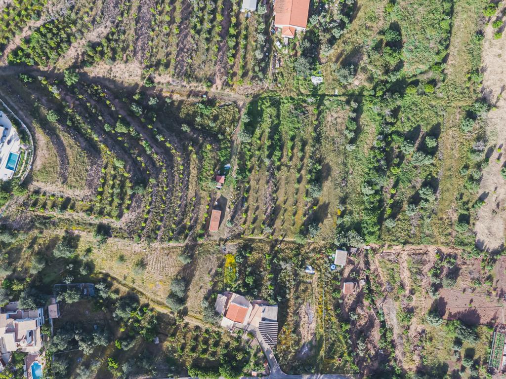 Quinta para venda com vista para Castelo de Silves - Image 27