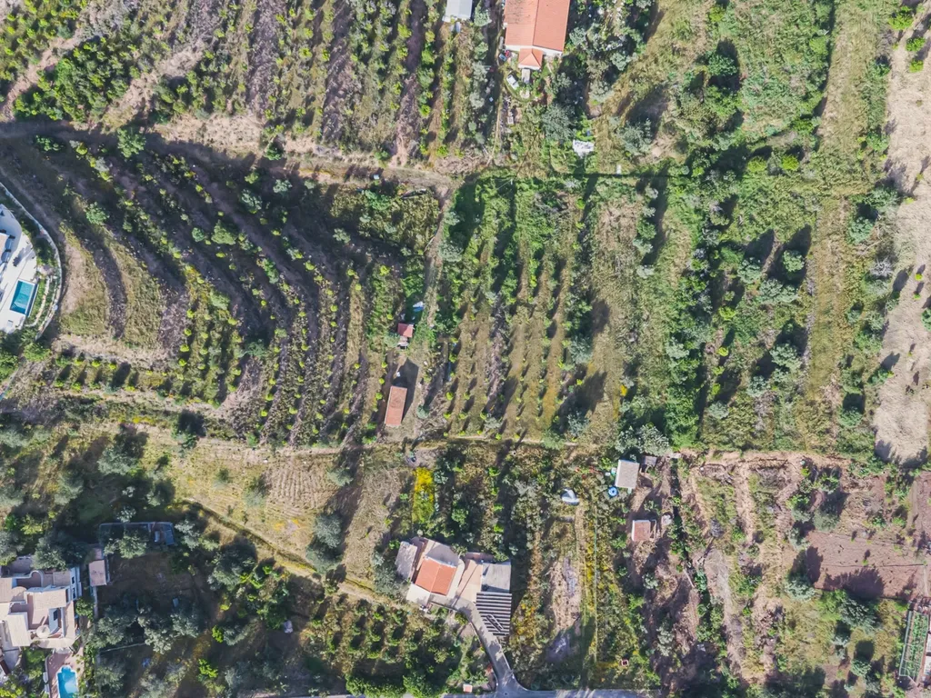 Quinta para venda com vista para Castelo de Silves - Image 27