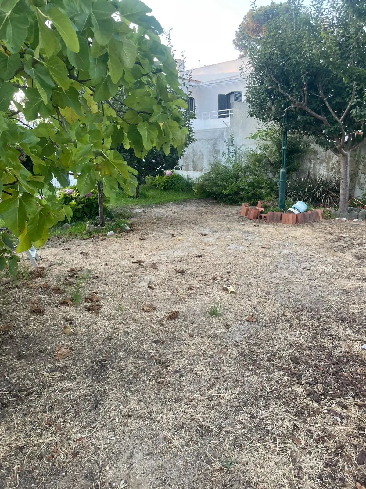 Fotografia 7 de Terreno para Venda | Rua Soeiro Pereira Gomes | Marisol