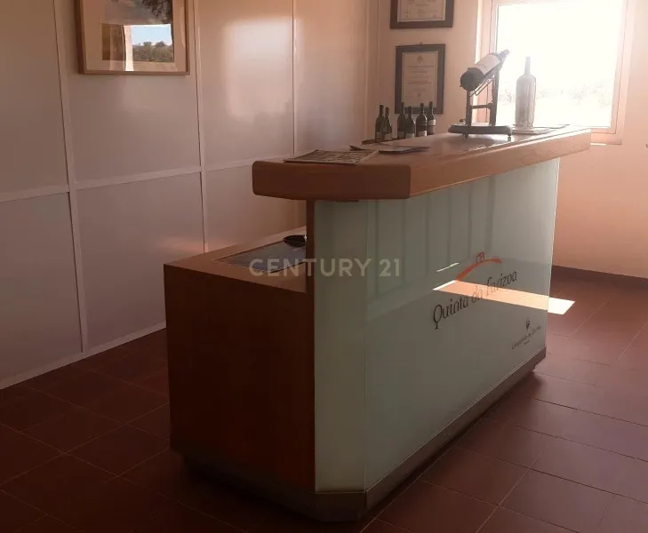 Herdades com produção Vinho, com 157,3ha situada em Terrugem, concelho de Elvas - Image 14