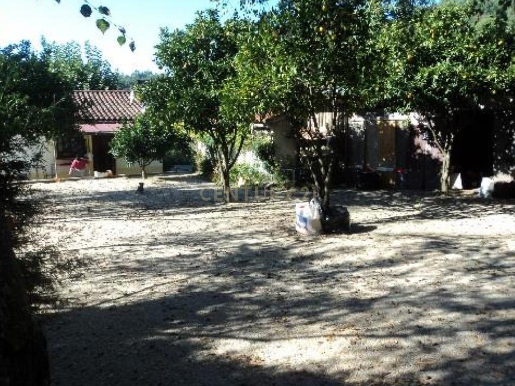 Quinta, Antigo Edifício do ISAVE (universidade) na Póvoa de Lanhoso  - Image 26
