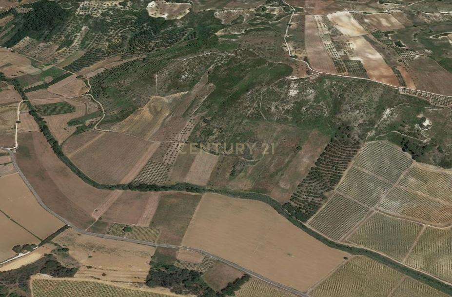 Terreno rústico de 19.720,00 m2 em Abitureiras para vinha e Olival - Image 8