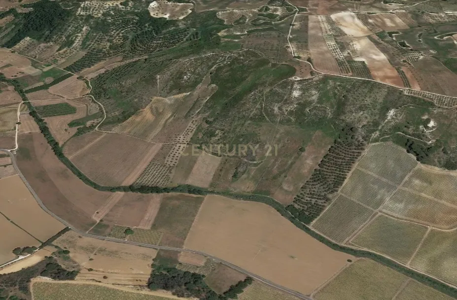 Terreno rústico de 19.720,00 m2 em Abitureiras para vinha e Olival - Image 8
