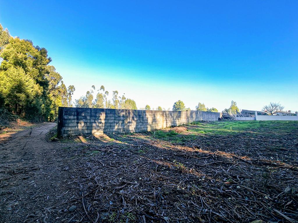 Excelente investimento, terreno rústico em Paços de Ferreira - Image 8