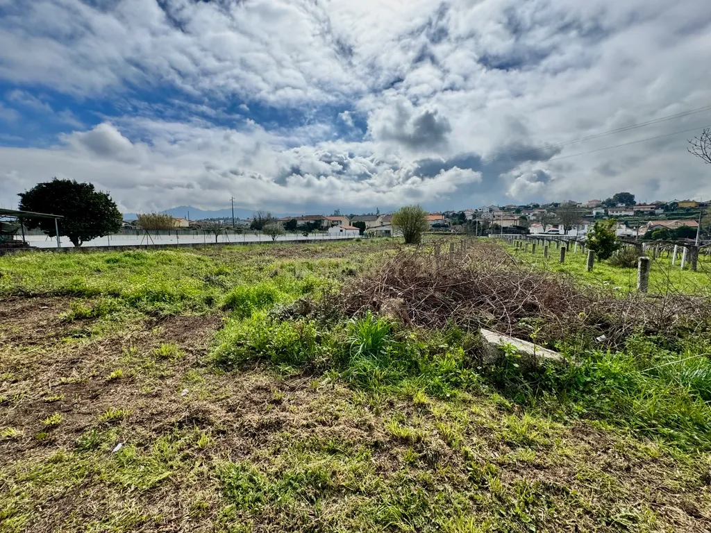 Terreno com 3600m2 - 🍇 Onde o Coração do Alvarinho Encontra a Serenidade do Rio Minho! - Image 12