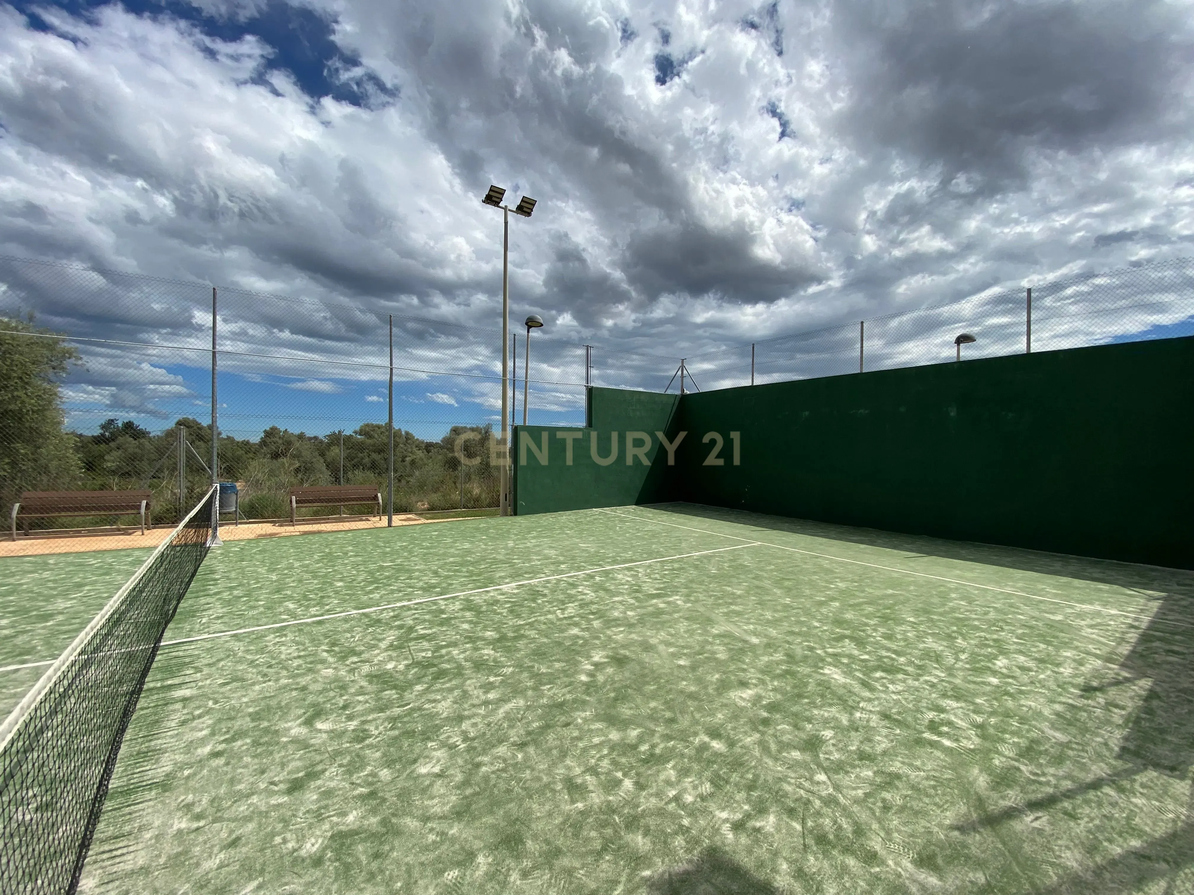 - Image 25